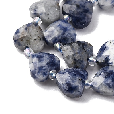 Natural Blue Spot Jasper Beads Strands G-P570-E19-01-1