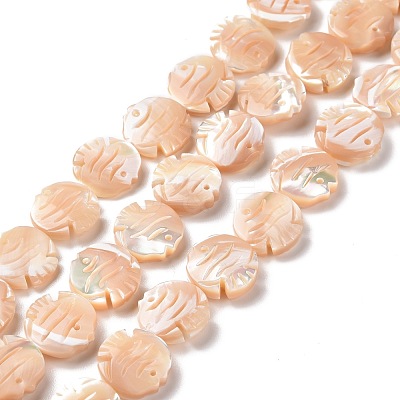 Natural Trochid Shell Beads Strands SSHEL-G023-16A-1