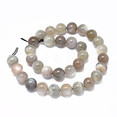 Natural Grey Moonstone Beads Strands G-F632-29-02-1