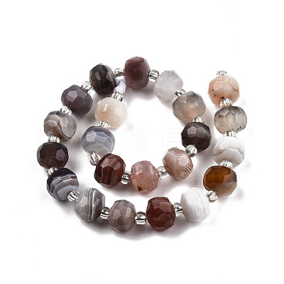 Natural Botswana Agate Beads Strands G-N327-08N-1