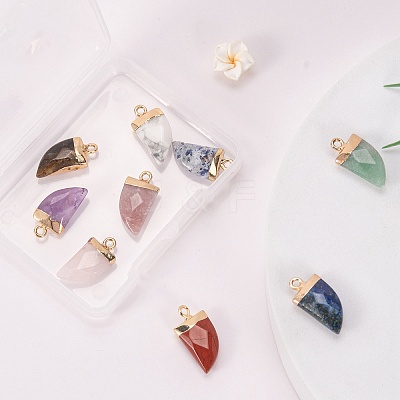 10Pcs 10 Style Natural Gemstone Pendants G-LS0002-14-1