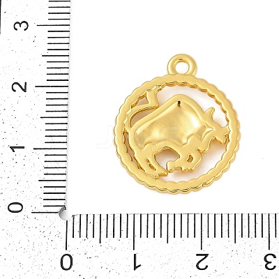 Twelve Constellations Alloy Pendants PALLOY-Q006-01I-G-1