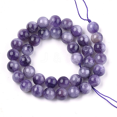 Natural Amethyst Beads Strands G-S333-10mm-020-1