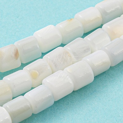 Natural Freshwater Shell Beads Strands SHEL-F008-04A-1