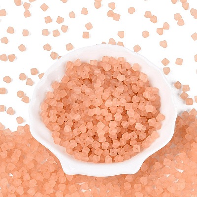 FGB Frosted Transparent Glass Seed Beads SEED-N013-03A-04-1