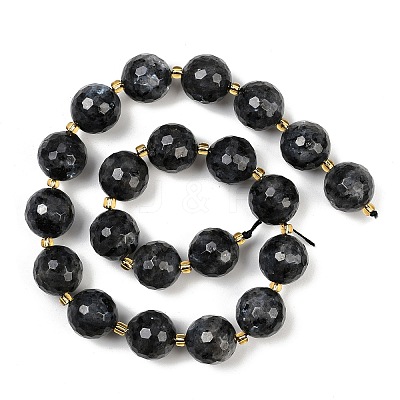 Natural Larvikite Beads Strands G-C249-A07-16mm-1