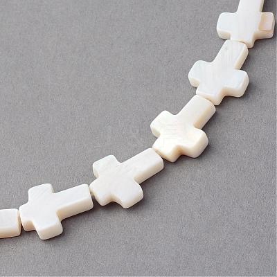 Natural Sea Shell Beads Strands SSHEL-Q296-34-1
