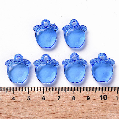 Transparent Acrylic Pendants TACR-S154-28B-86-1