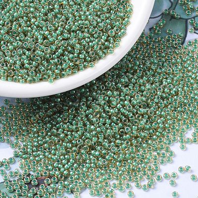 MIYUKI Round Rocailles Beads SEED-G007-RR0374-1