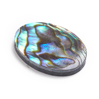 Natural Abalone Shell/Paua Shell Cabochons SSHEL-L017-003-1