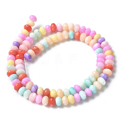 Natural Freshwater Shell Beads Strands SSHEL-C013-07E-1
