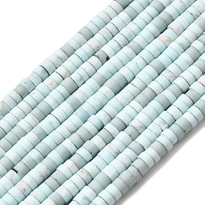 Dyed Synthetic Turquoise Beads Strands G-Z089-A04-C-1