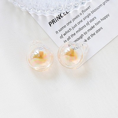 Glass Pendant INS-PW0001-13G-1