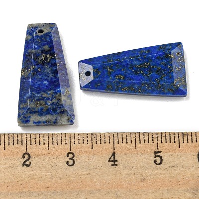 Dyed Natural Lapis Lazuli Pendants G-G123-02E-1