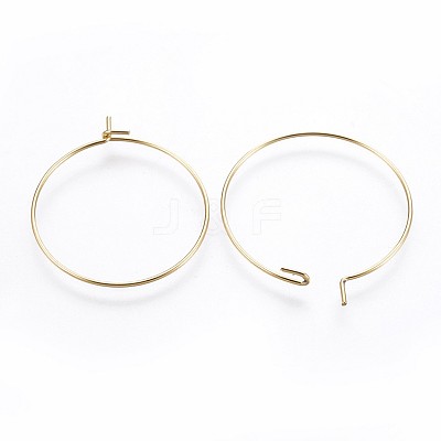 316 Surgical Stainless Steel Hoop Earring Findings X-STAS-P221-01B-G-1