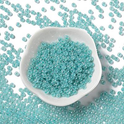 Glass Seed Beads SEED-H002-E-A1419-1