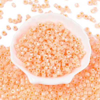 Glass Seed Beads SEED-T008-01C-1