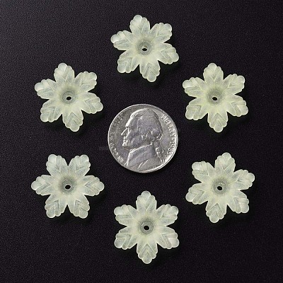 Transparent Acrylic Beads MACR-S373-117-D03-1