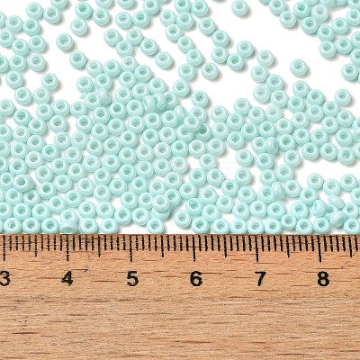 Baking Paint Glass Seed Beads SEED-P006-03A-29-1