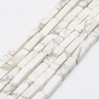Natural Howlite Beads Strands G-E342-15-1
