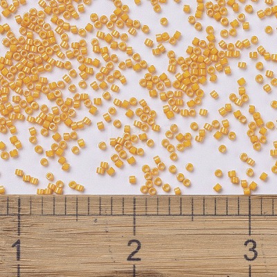 MIYUKI Delica Beads SEED-X0054-DB0651-1