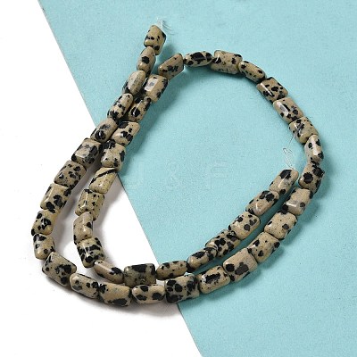Natural Dalmatian Jasper Beads Strands G-G085-A13-01-1