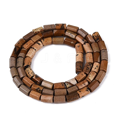 Natural Picture Jasper Beads Strands GG-N002-01A-13-1