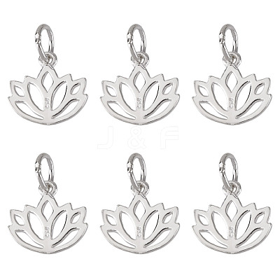 6Pcs Hollow 925 Sterling Silver Charms STER-DR0001-35-1