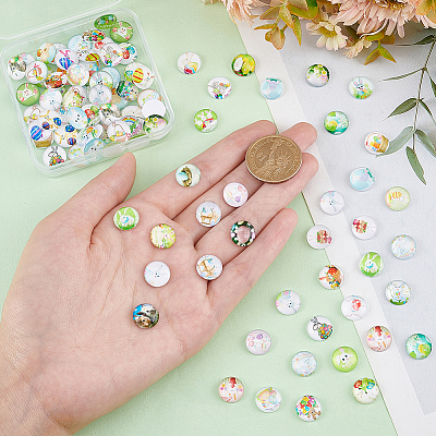 1 Bag Glass Cabochons GGLA-PH0001-42A-1