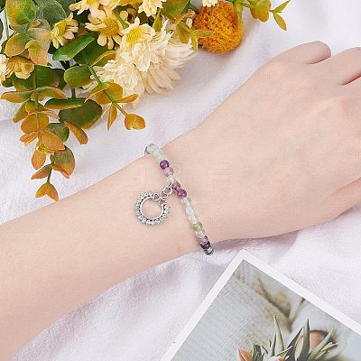 200Pcs Natural Fluorite Beads Strands G-OC0002-69A-1