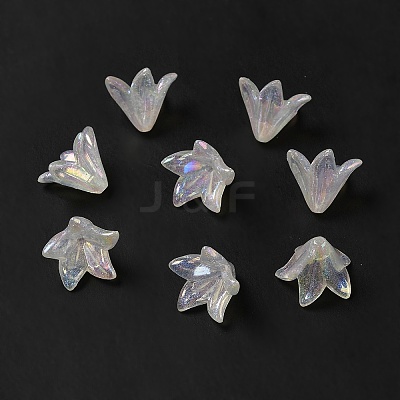 Transparent Acrylic Bead Caps OACR-H016-03-1