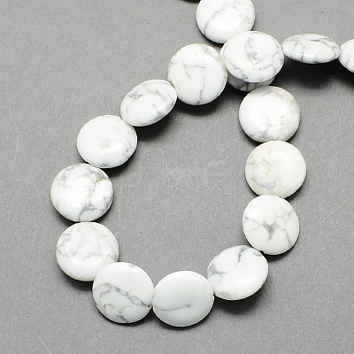 Flat Round Gemstone Natural Howlite Stone Beads Strands G-S110-21-1