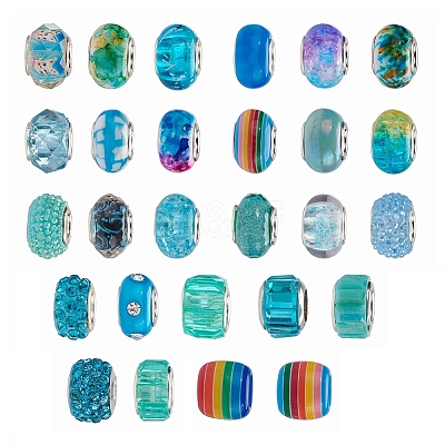Acrylic & Resin & Polymer Clay Rhinestone European Beads FPDL-S015-04B-1