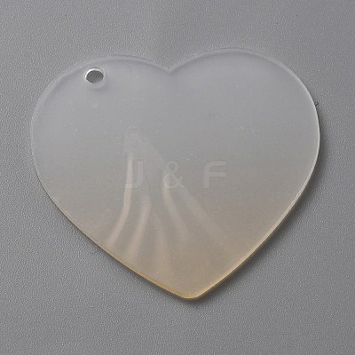 Gradient Transparent Acrylic Disc Big Pendants LS-FIND-WH0032-54D-1