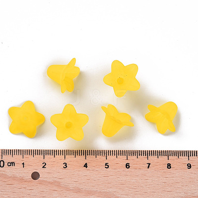 Transparent Acrylic Beads PLF018-19-1