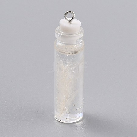 Transparent Glass Bottle Pendant Decorations EGLA-B002-01D-1
