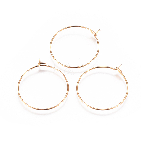 304 Stainless Steel Hoop Earrings Findings LS-STAS-I120-60B-G-1