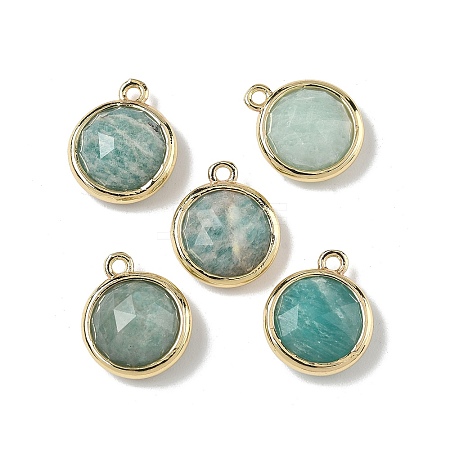 Natural Amazonite Faceted Flat Round Charms G-U028-03G-04-1