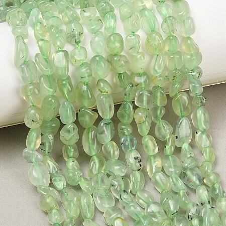 Natural Prehnite Beads Strands G-K395-B08-01-1
