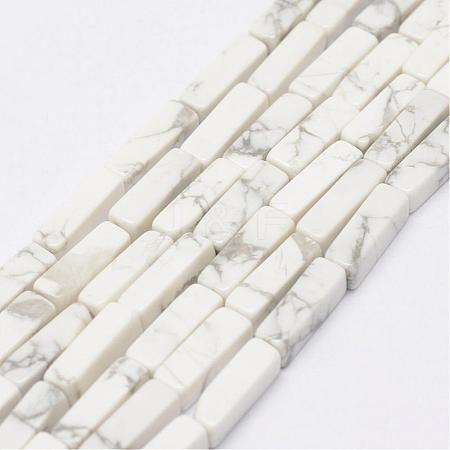 Natural Howlite Beads Strands G-E342-15-1