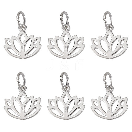 6Pcs Hollow 925 Sterling Silver Charms STER-DR0001-35-1