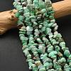 Natural Chrysoprase Beads Strands G-G0004-D01-A-1