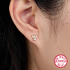 925 Sterling Silver Micro Pave Cubic Zirconia Flower Stud Earrings CX0038-2-3