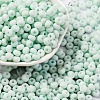 Baking Paint Glass Seed Beads SEED-C003-02I-1