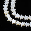 Natural Freshwater Shell Beads Strands LS-SHEL-S278-01A-01-3