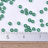 MIYUKI Round Rocailles Beads SEED-G007-RR0147F-4