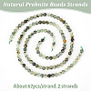 Olycraft 2 Strands Natural Prehnite Beads Strands G-OC0004-73-4