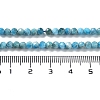 Natural Apatite Beads Strands G-J400-E01-01-5