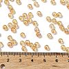 Glass Seed Beads SEED-H002-A-A624-4