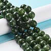 Dyed Natural Malaysia Jade Beads Strands G-G021-02C-13-2